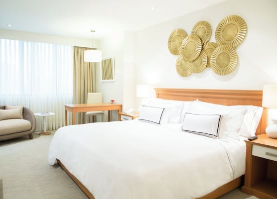 Meliá Lima 1