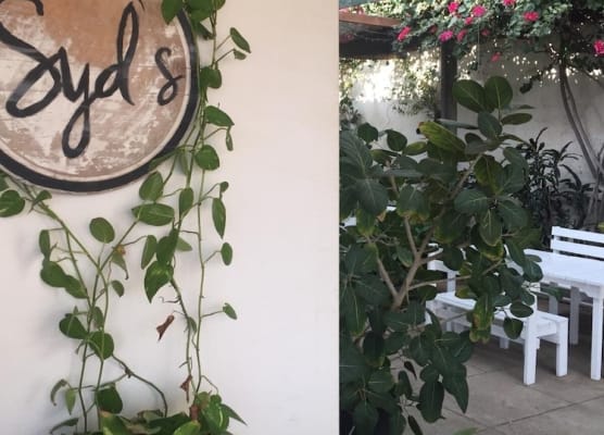 Syds Guesthouse I 1