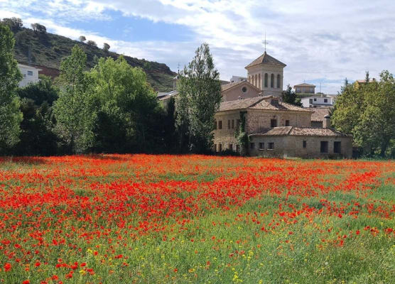 Hotel Monasterio de Tejeda 1