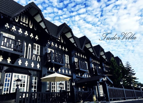 Tudor Dynasty 1
