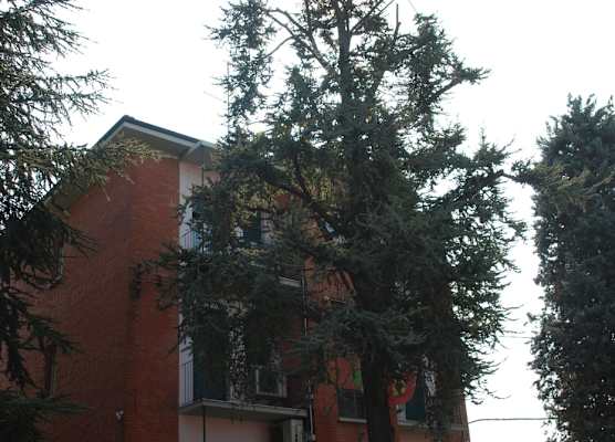 Hotel Tuscolano 1