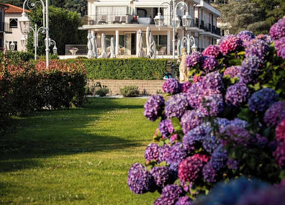 Ludwig Boutique Hotel & Spa 1