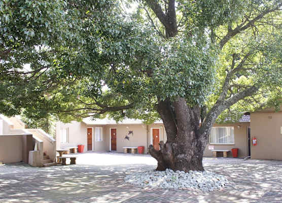 African Sky Guest House 1