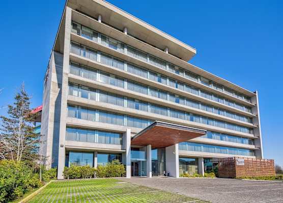 Wyndham Concepcion Pettra 1