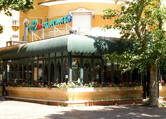 Hotel Dei Platani 1