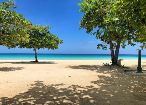Negril Beach Club 1