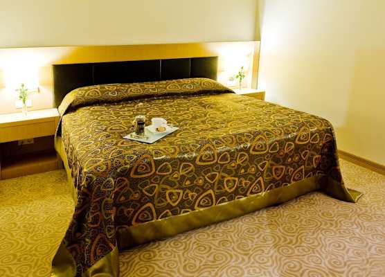 Adrina Termal Health & SPA Hotel 1