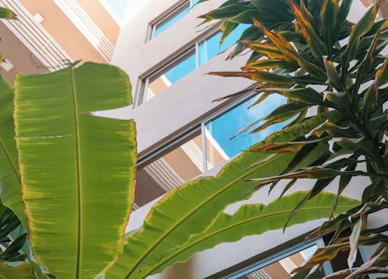 Las Rochas Mindelo Aparthotel 1