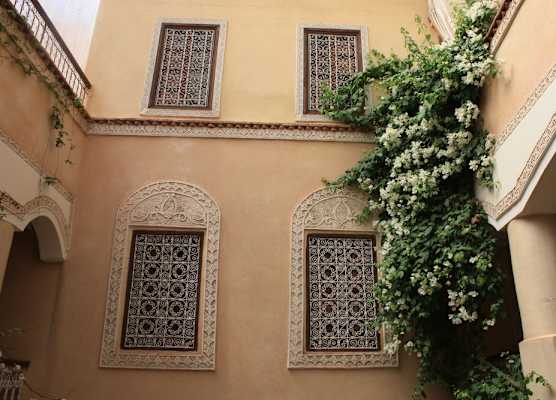 Riad Lorsya 1