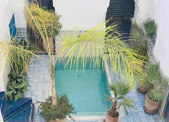 Riad Ifoulki 1