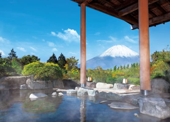 Hotel Green Plaza Hakone 1