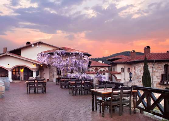 VINIFERA VINEYARDS HOTEL 1