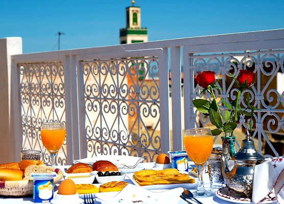 Riad Safir 1