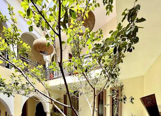 Riad Jardin Des Rêves 1