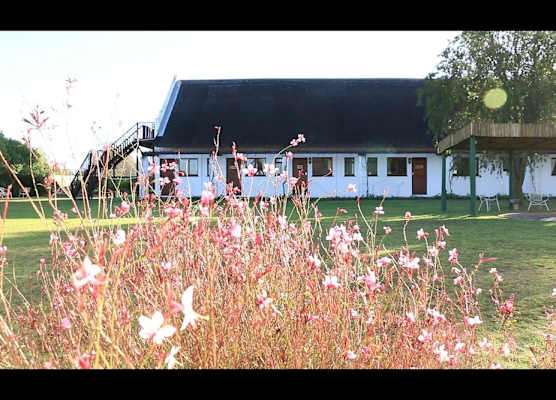 Zoutpan Struishuis 1
