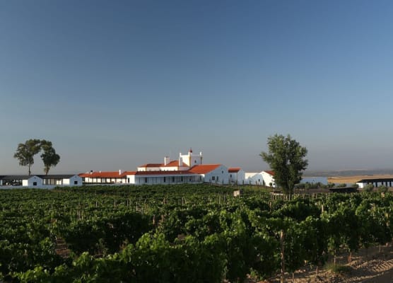 Torre de Palma Wine Hotel, Monforte, a Member of Design Hotels 1