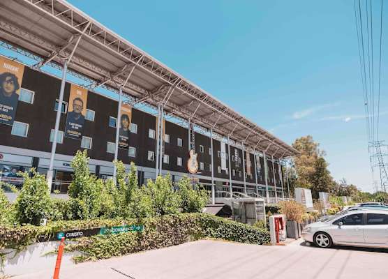 ibis Pilar 1