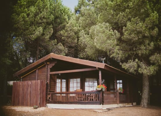 Kibbutz Ortal Tourism 1