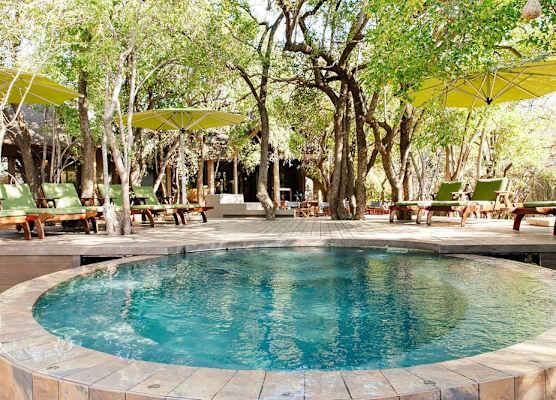 Tambuti Lodge 1