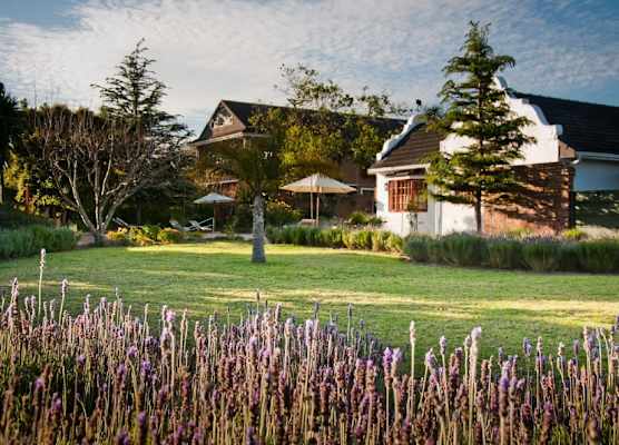 At Winkfield House 1