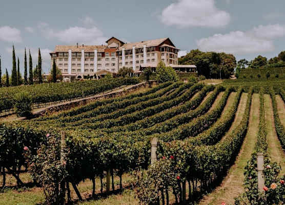 Spa do Vinho Condomínio Vitivinícola 1