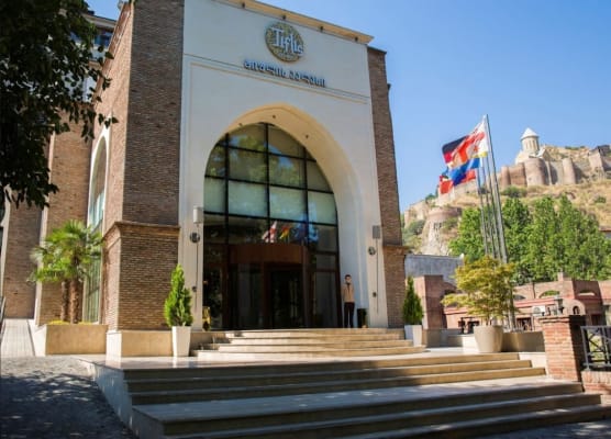 Tiflis Palace 1