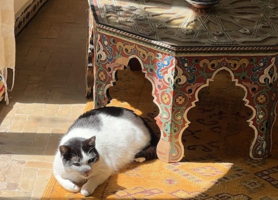 RIAD OASIS D'ASILAH 1