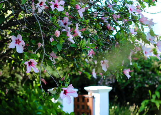 Whispering Oaks Guest House 1