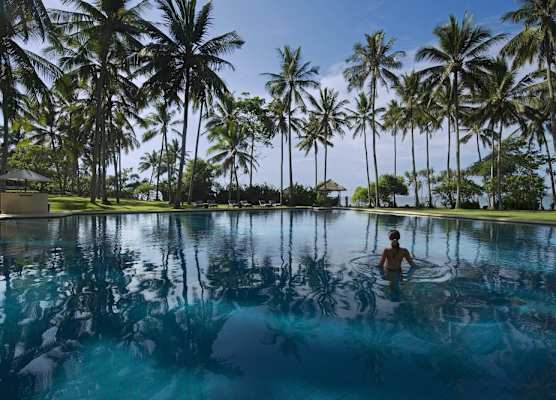 Alila Manggis 1