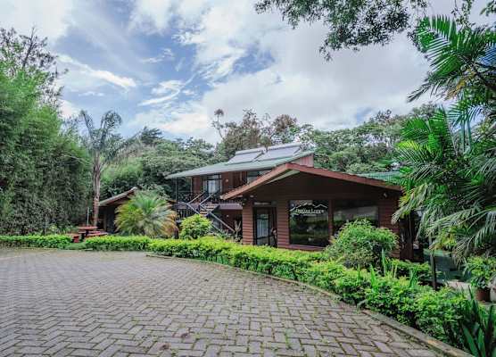 Dreams Lodge 1
