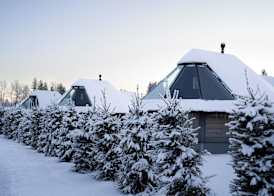 Reindeer Manor Levi 2