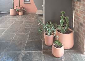 Alpine Attitude Boutique Hotel & Conference Venue 2