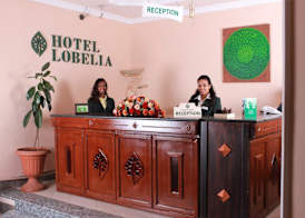 Hotel Lobelia 4