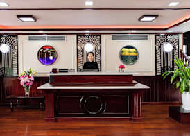 Dora Cruise 2