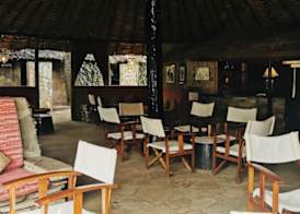 Fig Tree Camp 3