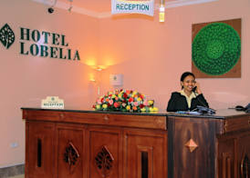 Hotel Lobelia 3