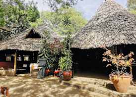 Fig Tree Camp 2