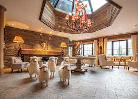 Alpin Resort Sacher 3