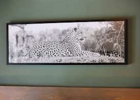 Tomo Safari Lodge 3