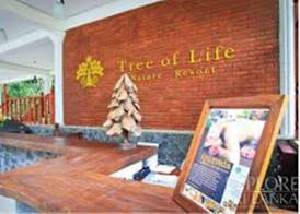 Tree of Life Nature Resort 3