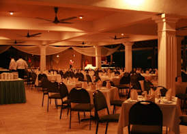 Tree of Life Nature Resort 4