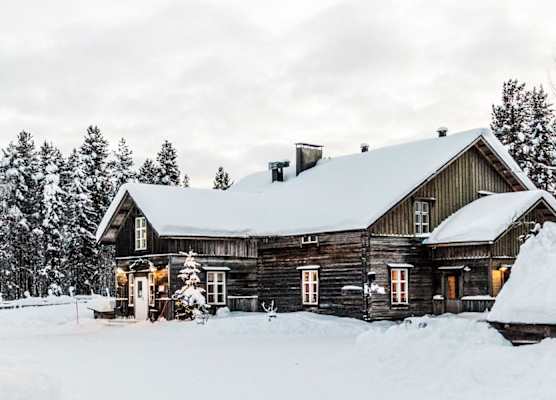 Reindeer Manor Levi 1