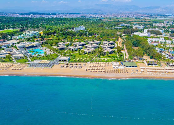 Berry Blue Hotels 1