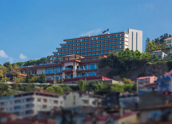 Radisson Blu Hotel Trabzon 1