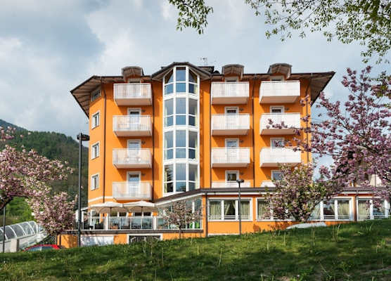 Nature Bio Hotel Elite 1