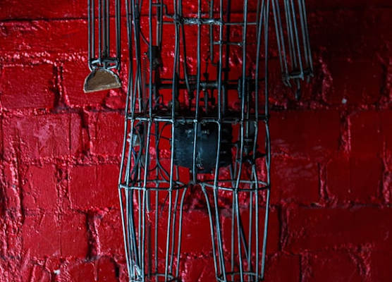 Scarlet Hotel 1