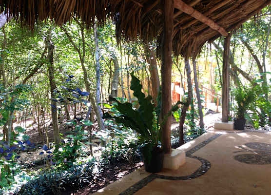 Hotel Okaan 1