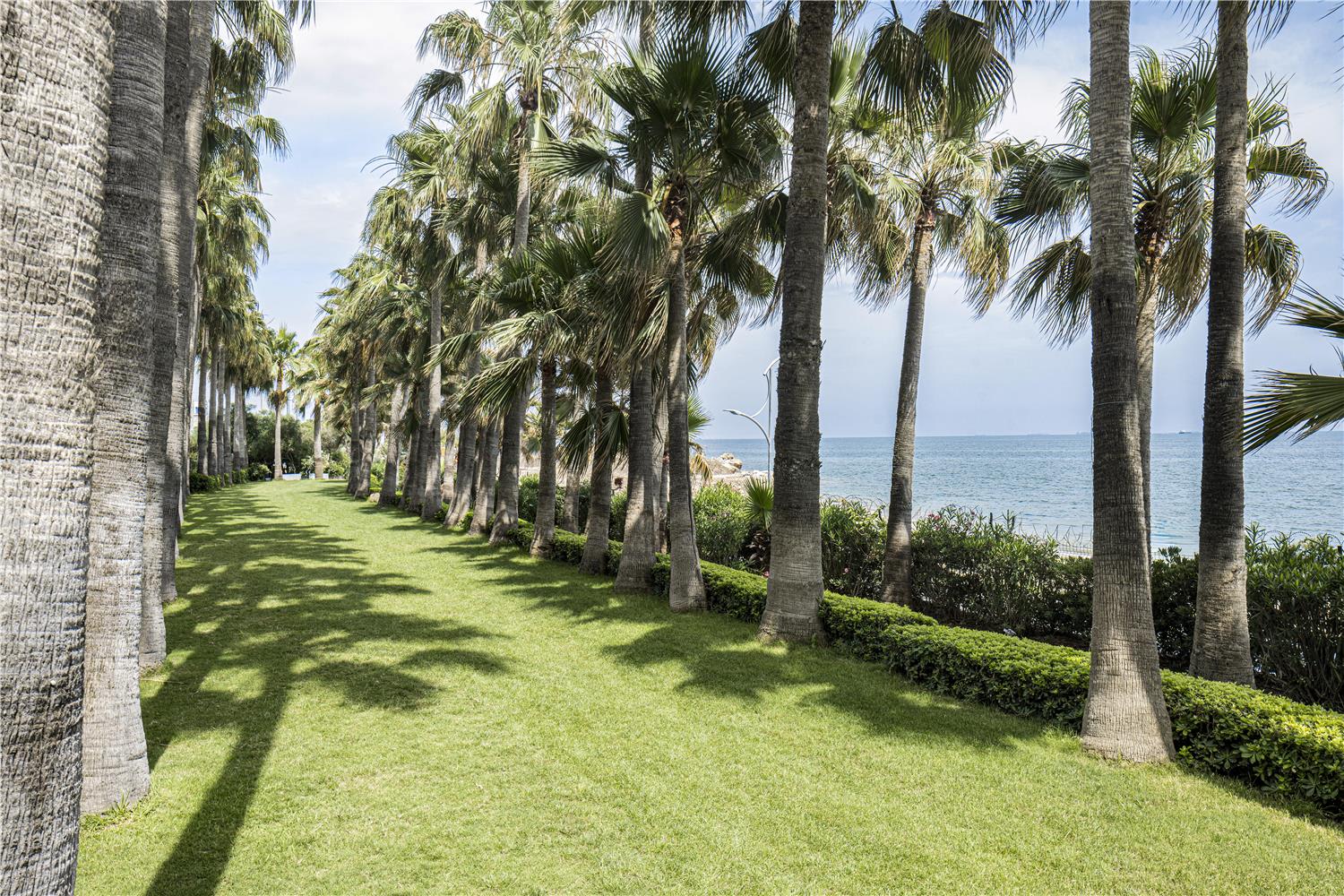 Mersin HiltonSA 4