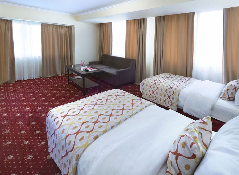 Ani Plaza Hotel 5