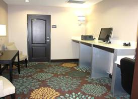 Holiday Inn Express & Suites HOUSTON IAH - BELTWAY 8 by IHG 4